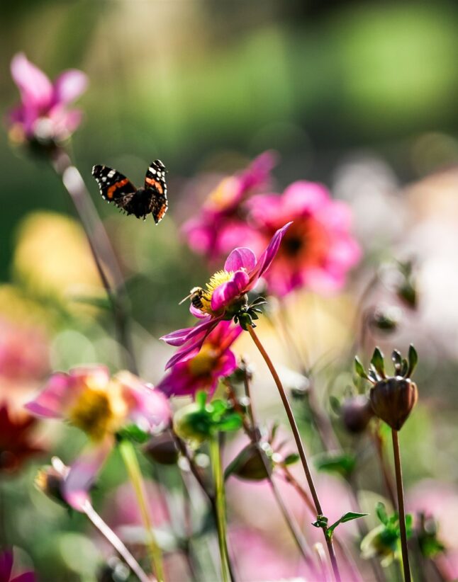 Genesung in außergewöhnlichem Ambiente