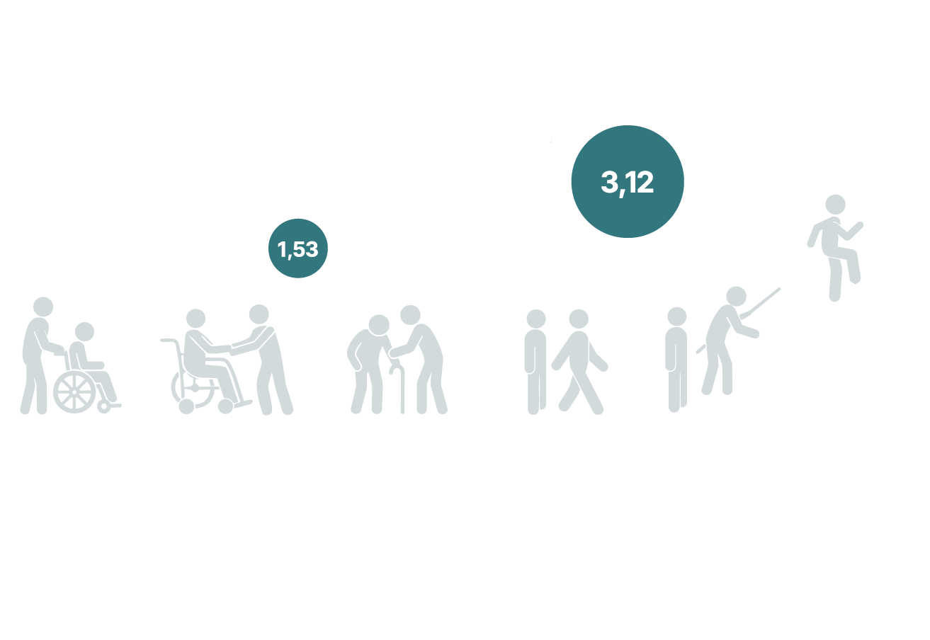 Functional Ambulation Categories (FAC)