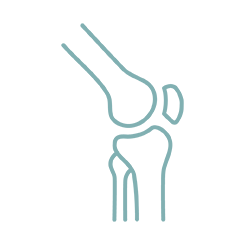 +26 Punkte: Deutliche Verbesserung der Kniefunktion