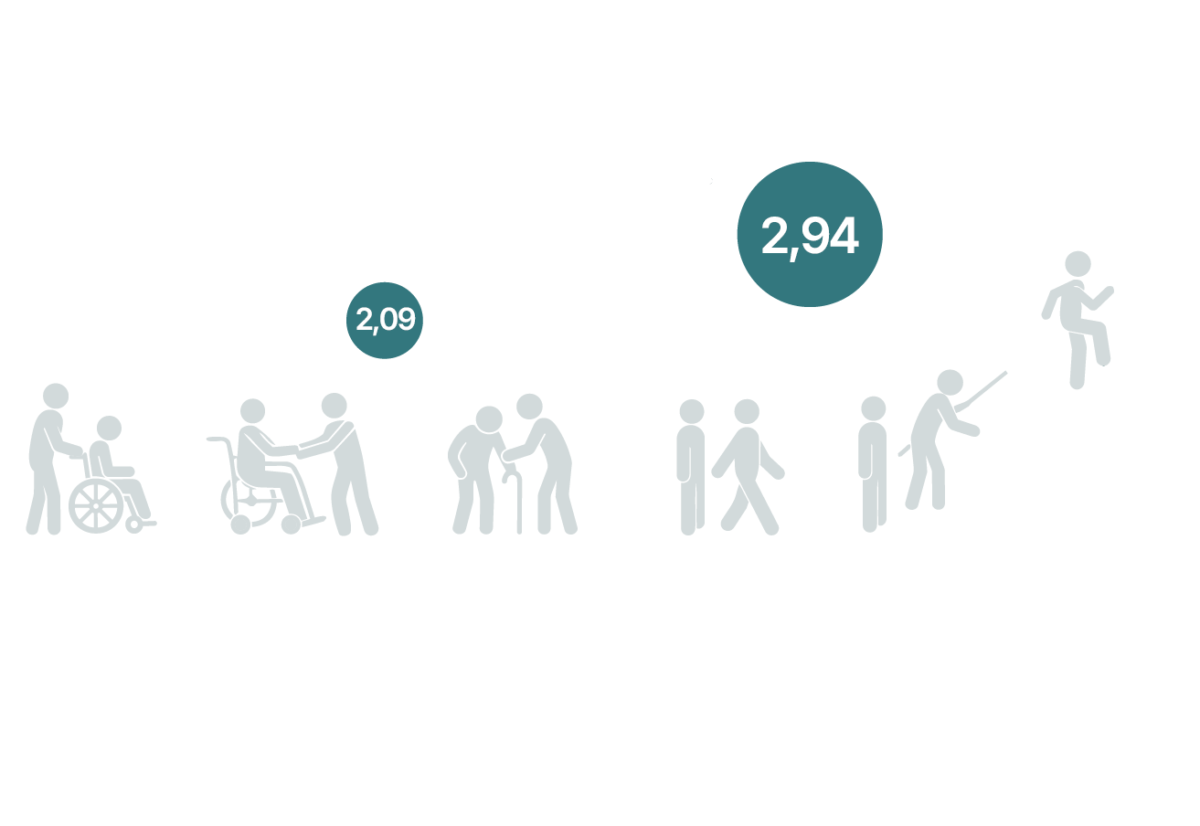 Functional Ambulation Categories (FAC)
